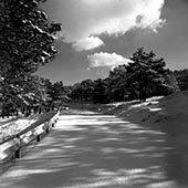 Snowy road in Lavizan,جاده برفی در لویزان
