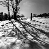 Lavizan Forest Park after snowfall