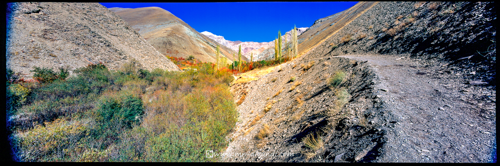 Panoral 617 Ver.IIM and Schneider Super Angulon 47XL/f5.6 lens - ahhar-2-47XL