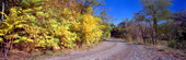 Lavizan in autumn