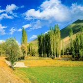 An autumn afternoon in Arjomand region