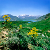 Beautiful spring of Lar plain