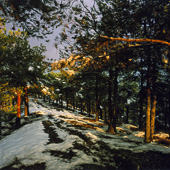Lavizan in winter day